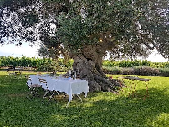 A Wine Tasting like no other in Algarve