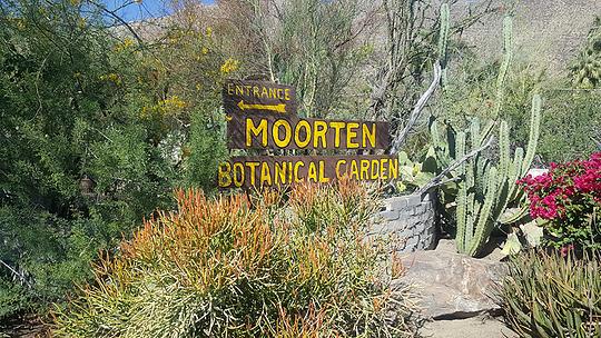Moorten Botanical Garden and Cactarium
