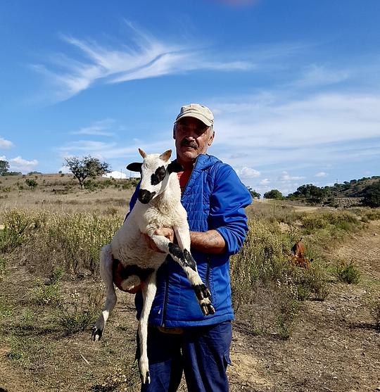 A Morning Walk with a Goat Shepherd with Picnic