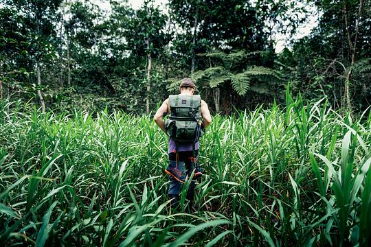 Amazon Jungle Adventure