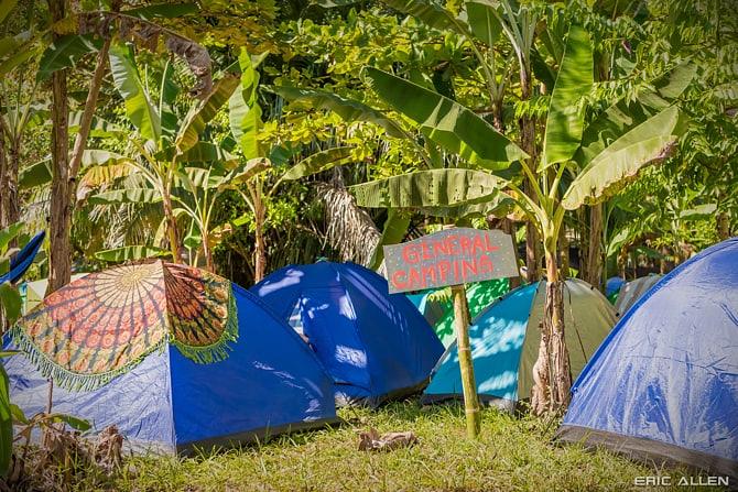 Onsite Camping | Bring Your Own Tent | GA Camping