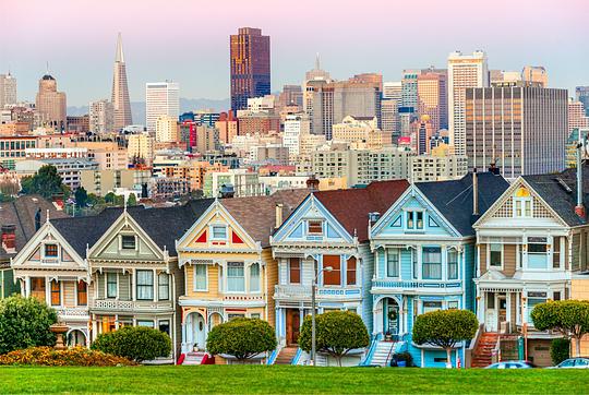 Take a selfie with the “Painted Ladies”
