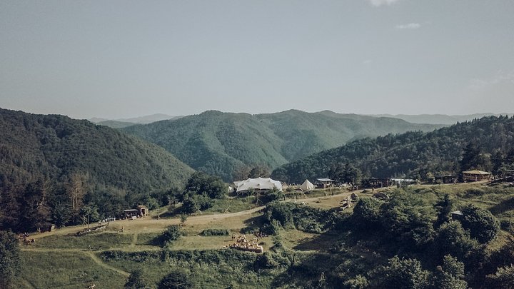 Festival View