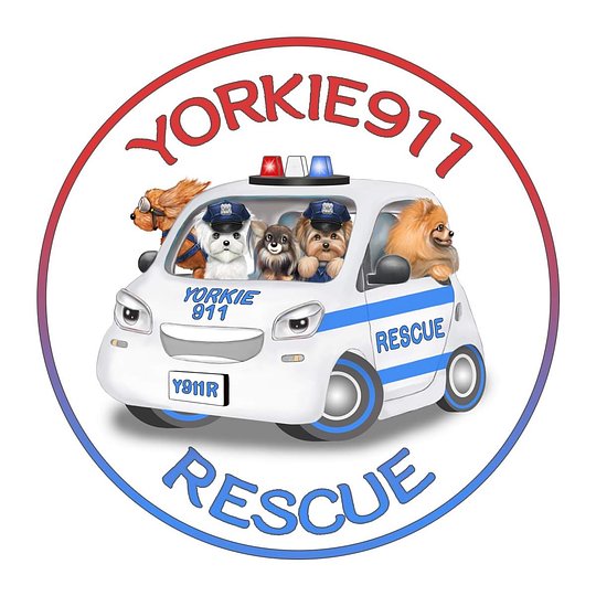 CHARITY PARTNER YORKIE 911 RESCUE