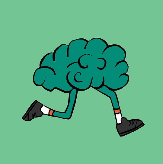 Running makes you smarter