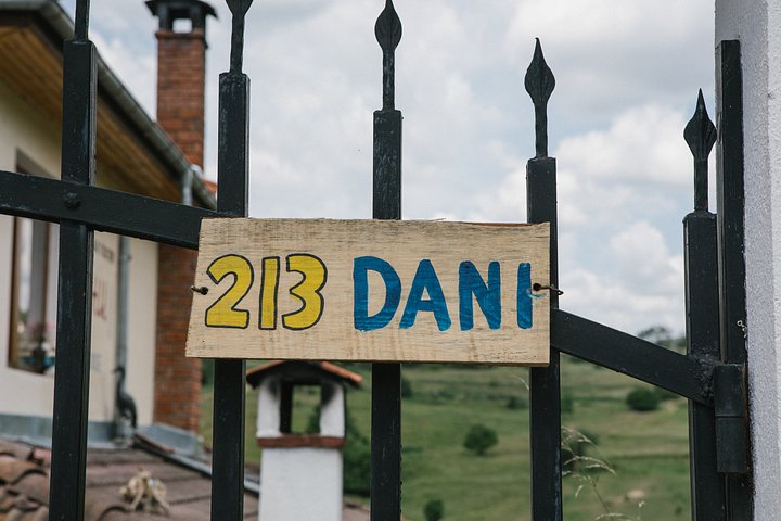 213_Dani-9303