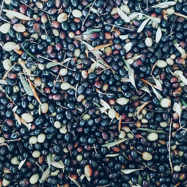 picked olives