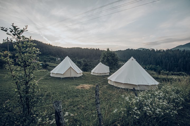 Bell Tents in the Meadow