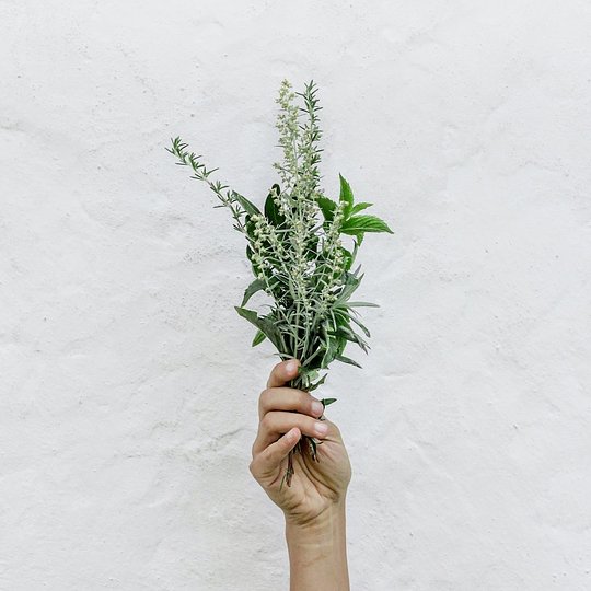 Grow Your Own - Herbs Kit