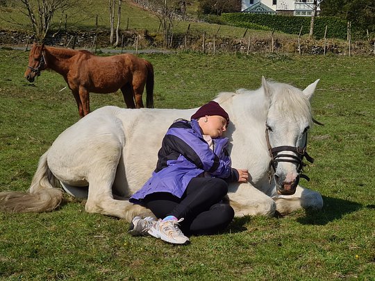 Meditate With Horses