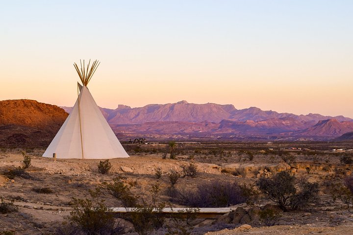 Quirky Tee Pees